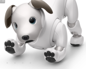 aibo