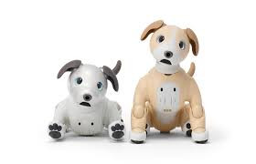 aibo きなこエディション