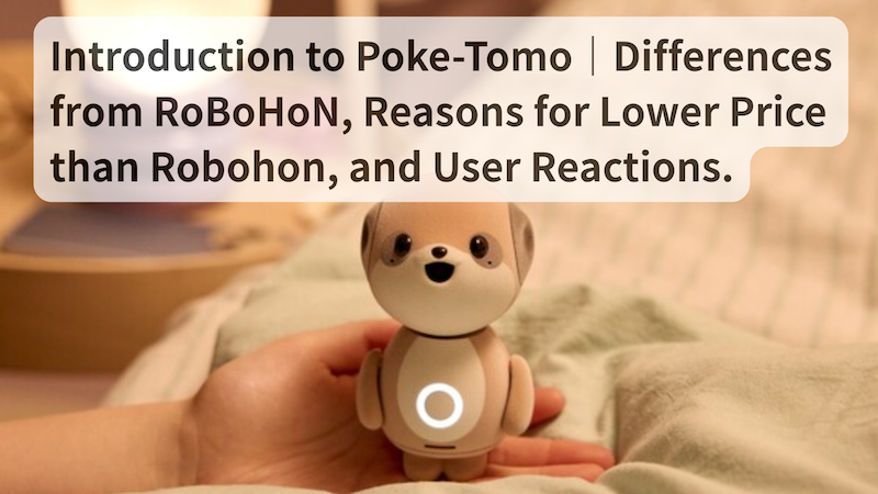 robohon-review