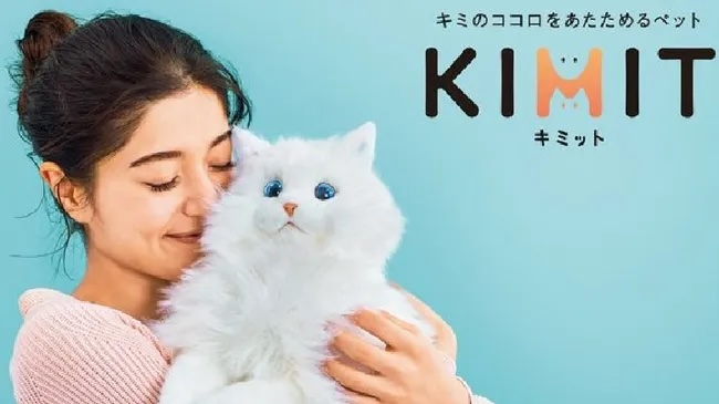 kimit-robot-ragdoll-cat-review