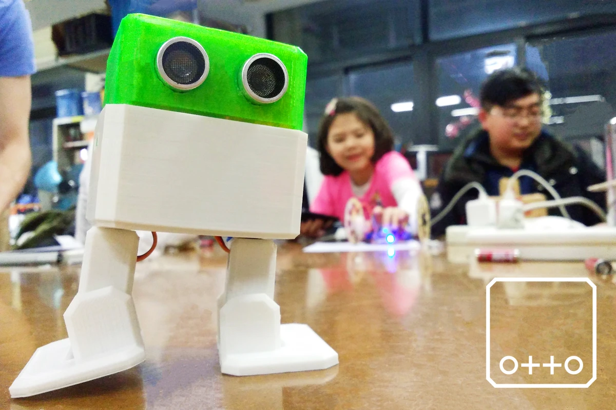 otto (Lepisosteus otoensis)