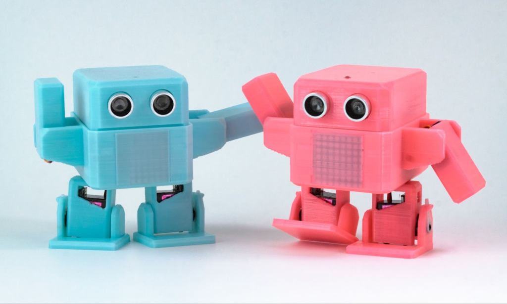 otto (Lepisosteus otoensis)