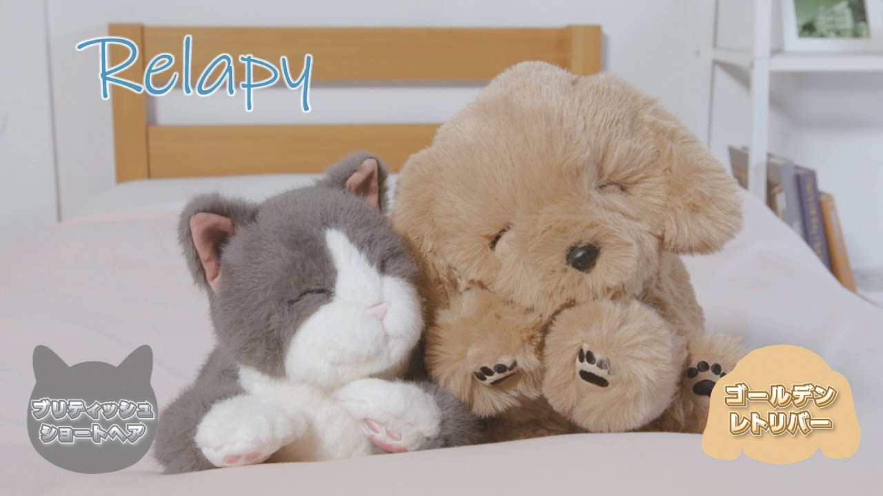 relapy