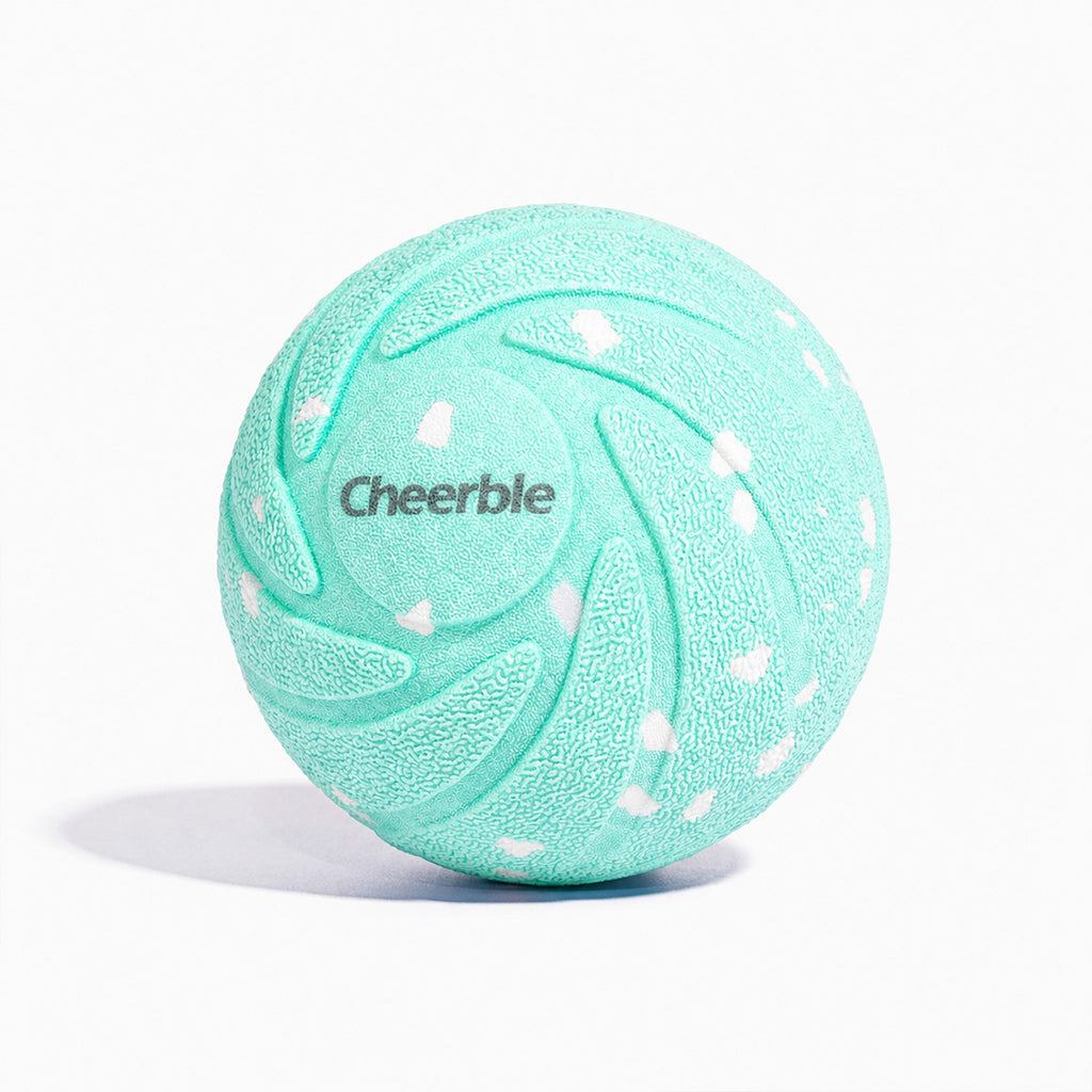 Cheerble Wicked Ball AIRのAquaカラー製品画像