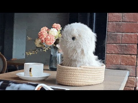 カゴに入ったKakaloomの外観イメージ
