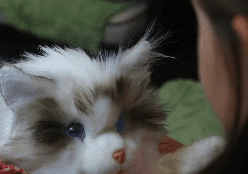 Elephant Robotics metaCat ラグドール猫型ロボット