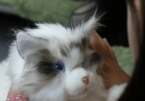 metaCat being petted on the head, showing touch interaction response