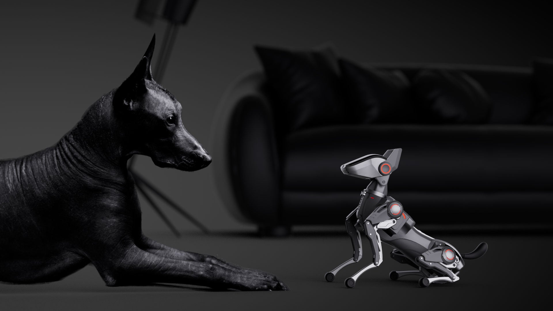Hengbot Sirius AI robot dog
