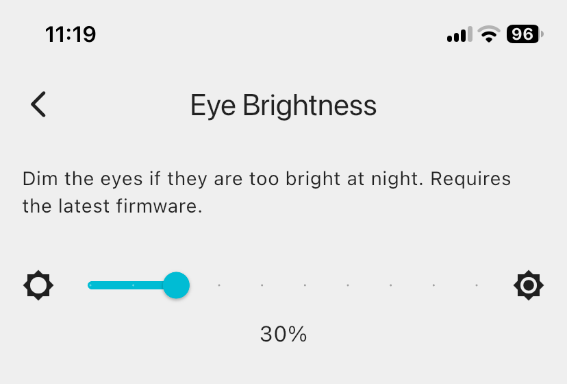 The Eye Brightness screen. The slider goes from 10% to 100%