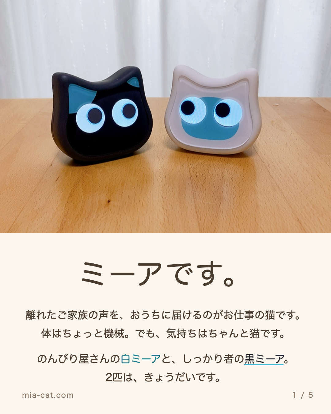 白ミーアと黒ミーアが並んだ写真。ミーアです。
