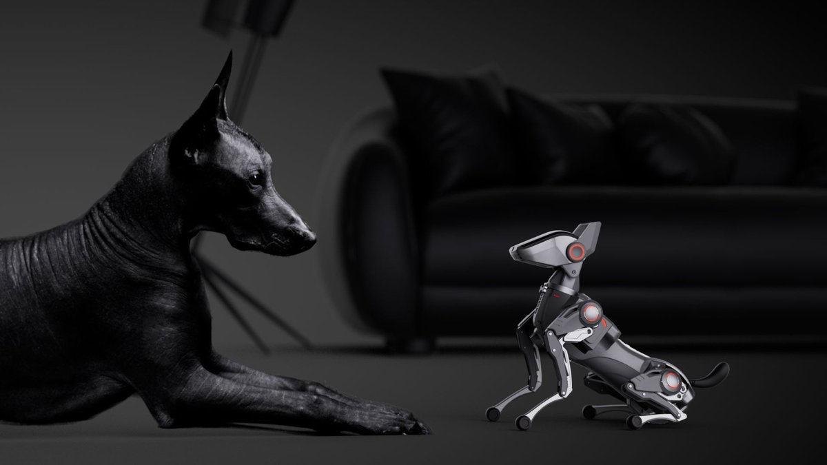 Robot dog comparison image (Hengbot Sirius)