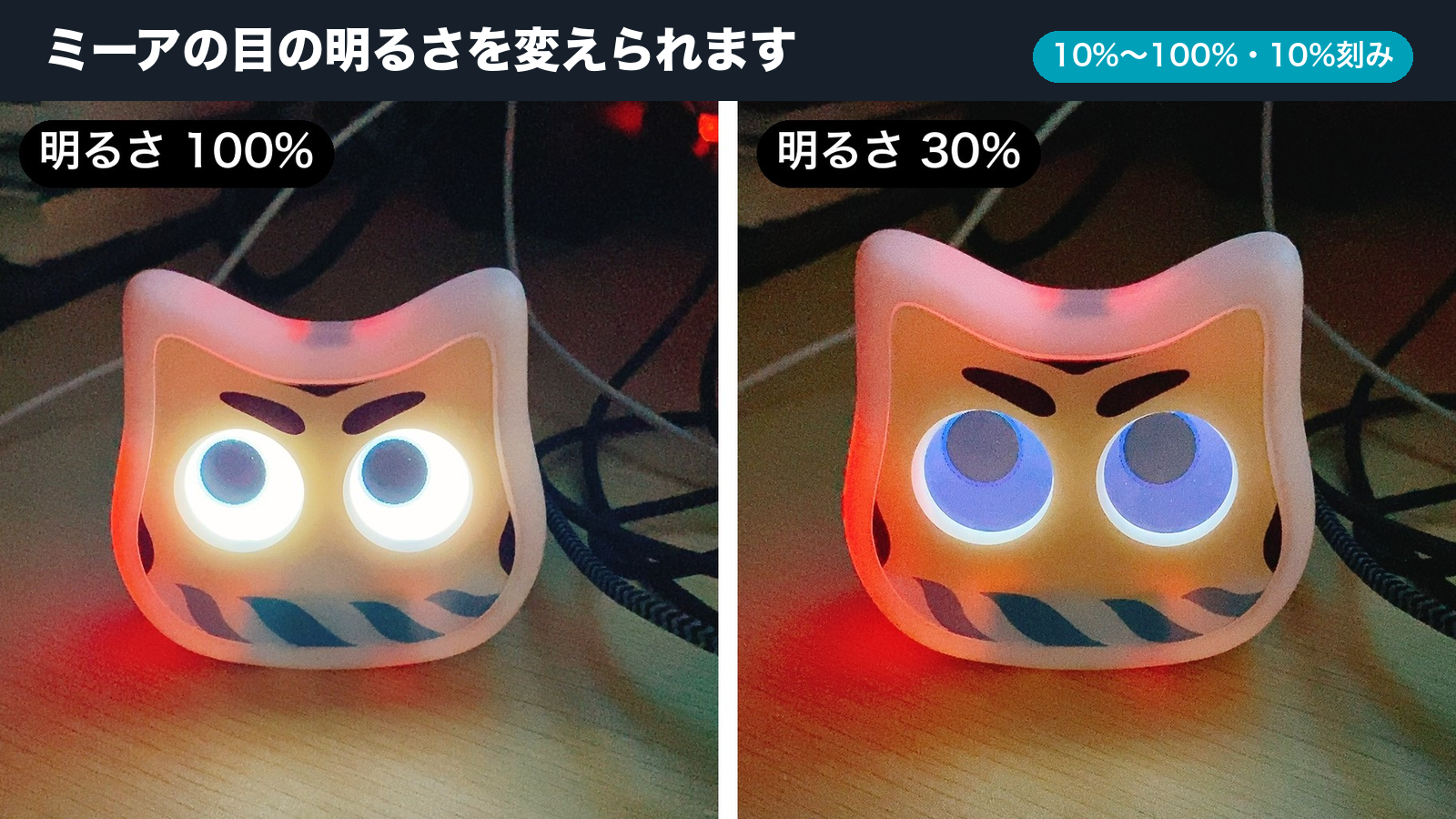 暗い部屋でのミーアの目。明るさ100%と30%の比較